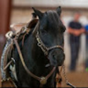 Meet your Posher, Isla